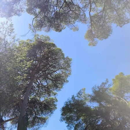 Lägenhet Rare - Avec Jardin A 350m De La Et Du Port Hyères